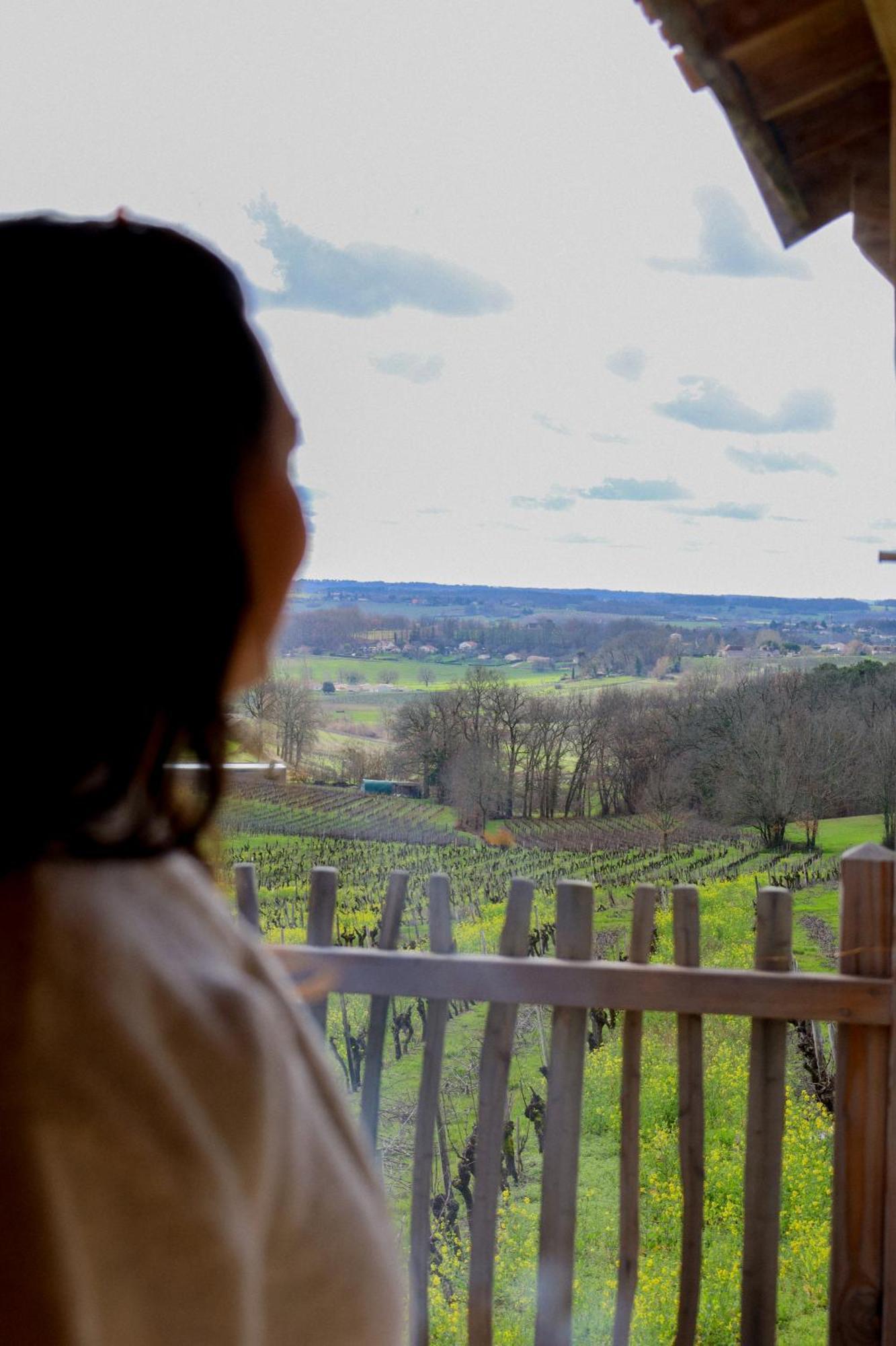 ベルジュラック Le Domaine De La Tour Des Vents Bed & Breakfast エクステリア 写真