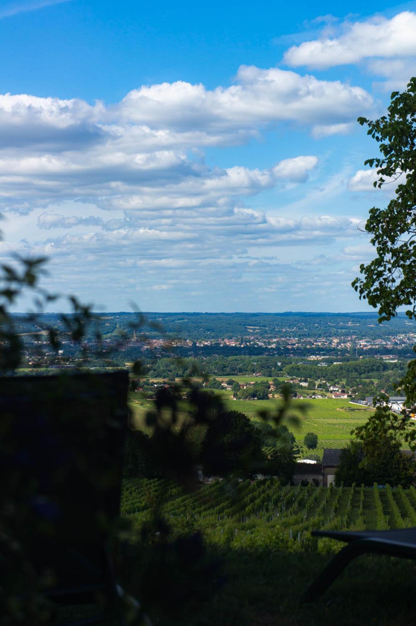 ベルジュラック Le Domaine De La Tour Des Vents Bed & Breakfast エクステリア 写真